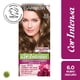 thumbnail image 1 of Coloración Cabello 6.0 Rubio Oscuro, 1 of 5