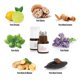 thumbnail image 3 of Aceites de Perfume Musk & Hustle 10 ml – Juego de 12, 3 of 5