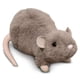 thumbnail image 1 of Peluche de peluche Douglas Ralph Rat de 23 cm para niños mayores, 1 of 4