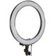thumbnail image 2 of Ring Light Newer de 18 pulgadas, 55 W, regulable, 500 K, con filtro de color, 2 of 3