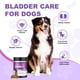 thumbnail image 3 of Suplemento De Arándanos Para Perros 200 Chews Urinary Tract, 3 of 8