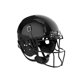 thumbnail image 1 of Casco de fútbol americano Schutt Vengeance Pro LTD II, 1 of 4