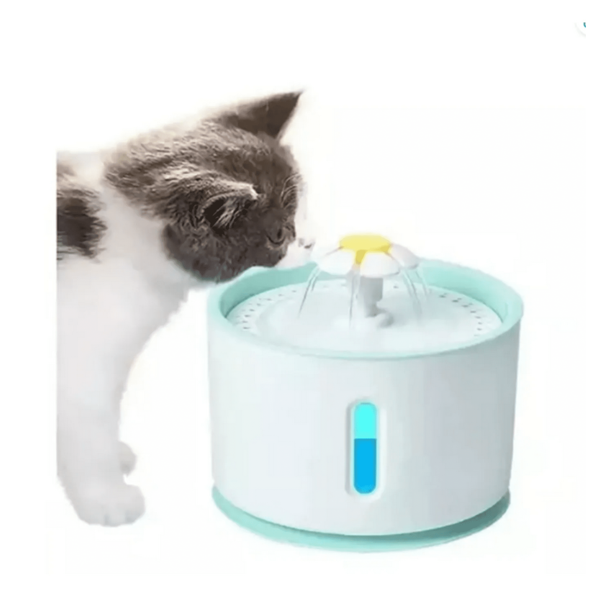 Genérico - Bebedor Gatos Perros 4 Filtros Para Bebedero