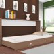 thumbnail image 3 of Cama Plegable América 1 Plaza Base Normal, 3 of 5