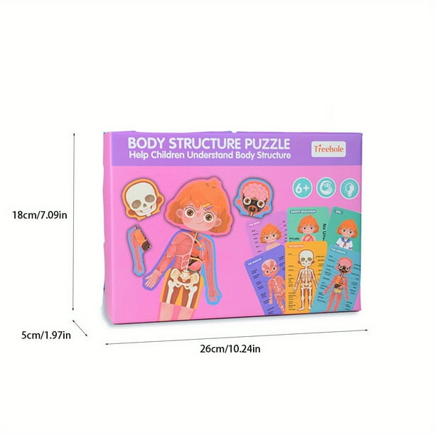 Children's Body Structure Puzzle Toys, Boys And Girls' Body Organ Recognition Cards, Kindergarten Early Education Popular Science Games For Children Aged 6 And Above