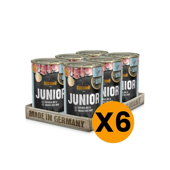 Display 6 unidades Alimento Super Premium Para Perros Sabor Pollo y Huevo 400 GR