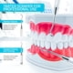 thumbnail image 3 of Raspador de sarro dental Utopia Care de 16,5 cm, doble punta, 3 of 8
