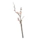 thumbnail image 4 of Simulación de ciruela Bossom, tallo largo falso Wintersweet, arreglo floral, ramas artificiales de ciruela Bossom, para decoración del hogar del hotel Rosa, 4 of 5