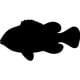 thumbnail image 1 of Decomural Goldfish Fish Under The Sea Pack WS-33234, 1 of 2