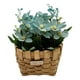 thumbnail image 2 of Planta Artificial Macetero Estilo Mimbre Flores Celestes, 2 of 4