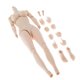 thumbnail image 2 of 1/6 Femenino Cuerpo Inconsútil Big Busto Esculpió Para La Figura De Acción De 12 Pulgadas, 2 of 5