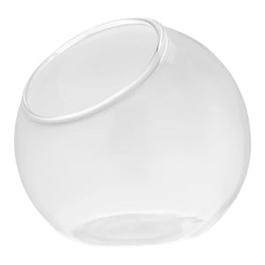 Bothyi - Florero De Cristal Único Para Terrario De Plantas, Para Sala De Estar, Oficina, Planta De Aire, Diámetro De 13,5 Cm