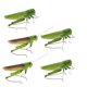 thumbnail image 1 of 5 Uds Simulación De Insecto Artificial Modelo Ni?os Juguetes Educativos Langosta, 1 of 5