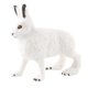 thumbnail image 2 of Figura De Conejo Realista Zoo Modelo De Animal De Granja Juguetes De Ense?anza Decoración De Mesa De Pie Blanco, 2 of 5