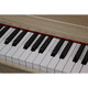 thumbnail image 4 of Piano TONIC con sillín para niños TON-75 Café, 4 of 5