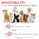 thumbnail image 3 of Unique Bargains Collares de Navidad para Perros Pequeños Diseño de Flores Collar de Cachorro para Perra Collar de Perro Lindo con Campana Longitud Ajustable Rosa, 3 of 7