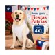thumbnail image 2 of Traje de Huaso Chileno para Perro Talla 4XL, 2 of 10