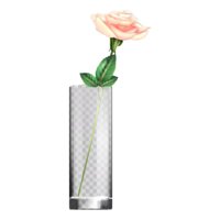 Genérico - Florero Cilíndrico Vidrio Transparente Plantas Hogar Lau