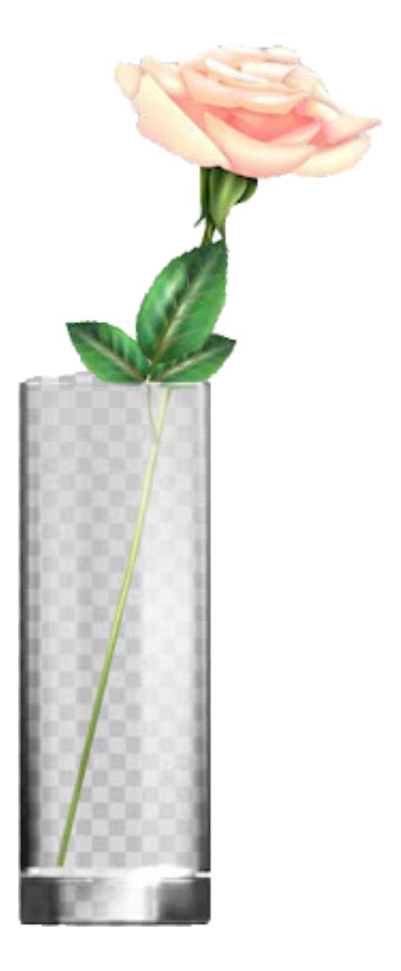 Genérico - Florero Cilíndrico Vidrio Transparente Plantas Hogar Lau