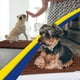 thumbnail image 4 of Felpudo para perros Muddy Mat®, superabsorbente, microfibra, color marrón, 4 of 7
