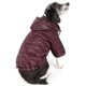 thumbnail image 1 of Abrigo para perro Pet Life ® Sporty Avalanche ligero e impermeable, 1 of 9