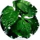 thumbnail image 4 of Perfume Davidoff Cool Water para después del afeitado para hombre 125 ml, 4 of 6