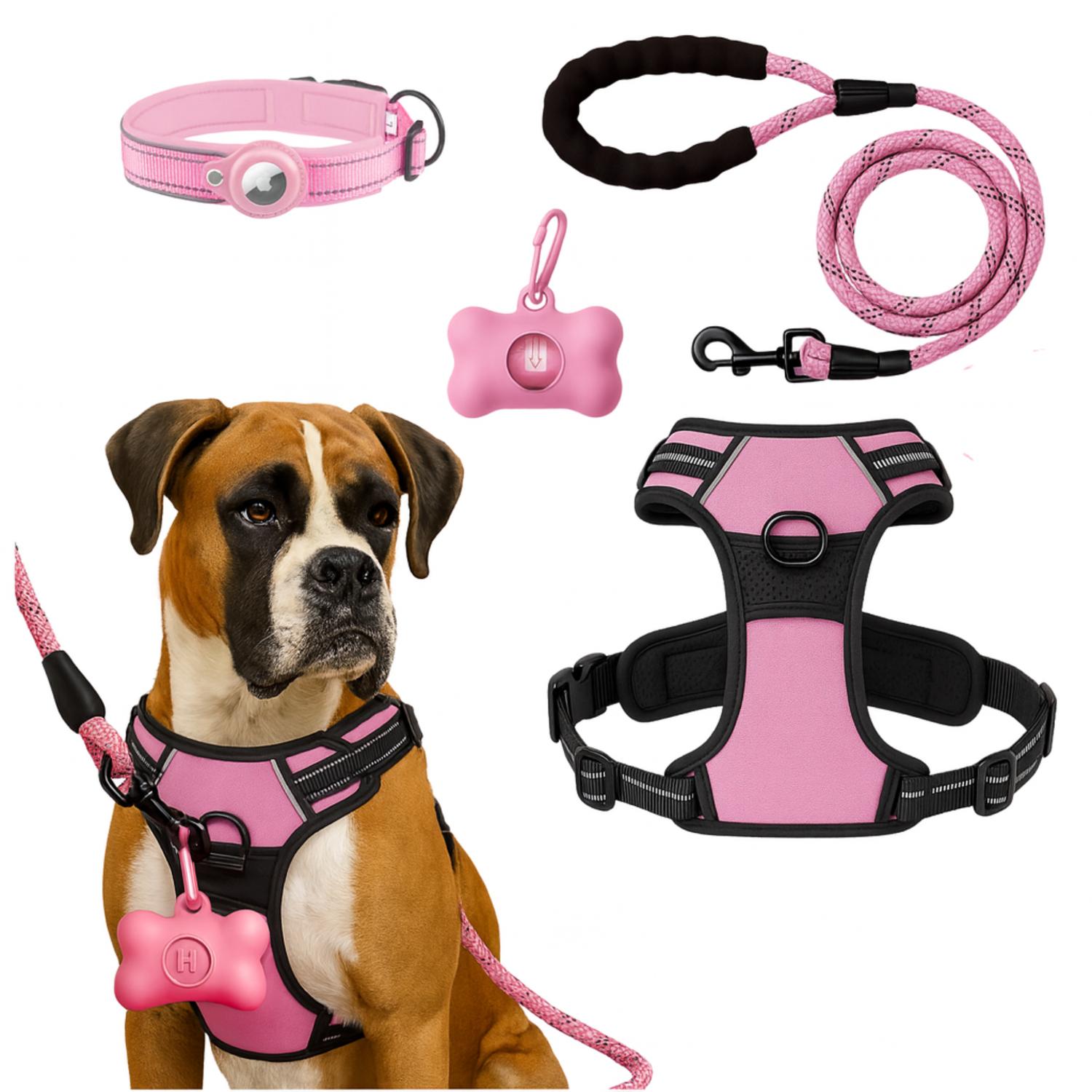 Yep - Set Arnes Correa Collar Porta Gps + Regalo Rosa Xl