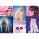 thumbnail image 2 of Rompecabezas Trefl Super Cats, 1000 piezas, línea de colores neón, 2 of 7