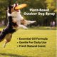 thumbnail image 2 of Spray Para Perros Con Aceite De Menta Natural 236 Ml, 2 of 8