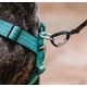 thumbnail image 3 of Street Dogs Strap Celeste, 3 of 3
