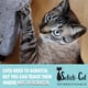 thumbnail image 3 of Cinta antiarañazos Cat Sofisti-Cat 10 de doble cara, 3 of 6