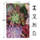 thumbnail image 3 of Plantas suculentas Cartel de metal, decoración de pared con cartel de metal personalizado, regalos para aficionados, amigos, familia y seres queridos 30x20 cm, 3 of 6