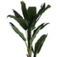 thumbnail image 3 of Planta Decorativa Artificial Alocasia 180 Cms., 3 of 4