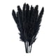 thumbnail image 4 of 15x Hierba De Pampas Seca Phragmites Reed Flower Bunch Home Wedding Decor Gift Negro, 4 of 5
