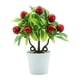 thumbnail image 4 of Plantas Artificiales en Maceta, Miniplantas Falsas, Bonsái, Frutas Falsas, Planta en Maceta, Planta de Fruta Artificial para Exteriores, Oficina Y Dor Guindas, 4 of 5