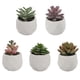 thumbnail image 4 of Planta suculenta artificial, 4 of 4