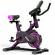 thumbnail image 1 of Bicicleta Spinning SBP40 Ten Series, 1 of 7