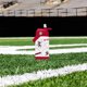 thumbnail image 3 of Botella Infantil Con Logo De Nc State Wolfpack 355 Ml, 3 of 4