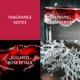 thumbnail image 2 of Perfume Christina Aguilera Xtina Fina Fragancia Bruma 240 ml, 2 of 4