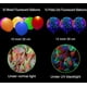 thumbnail image 4 of Juego de decoraciones para fiestas de cumpleaños de neón: pancarta de feliz cumpleaños que brilla en la oscuridad, 10 estrellas colgantes en espiral, 3 cintas luminosas UV, guirnaldas de puntos circul, 4 of 6