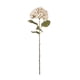 thumbnail image 1 of Planta Artificial Hortensia Pastel Crema 82 Cm, 1 of 1