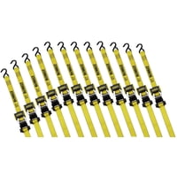 Correas De Amarre Con Trinquete Dewalt Dxbc18001-12Pk, Paquete De 12