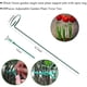 thumbnail image 2 of Plant Stake Support RAIKER, paquete de 12 unidades para tomates, peonías y lirios, 2 of 7