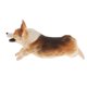 thumbnail image 4 of Animales De Simulación Modelo Figura Ni?os Juguete Educativo Decoración Welsh Corgi B, 4 of 5