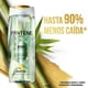 thumbnail image 5 of Shampoo Pantene y Acondicionador Bambú Nutre & Crece, 800 ml, 5 of 6