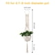 thumbnail image 2 of Colgador de macramé para plantas, 110 cm, 4 patas, algodón color crema, 2 of 8