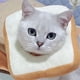 thumbnail image 2 of El anillo del cojín del perro y el cono del cuello sanan más rápido, los donuts de gato y perro suaves evitan arañazos y costuras táctiles (M), 2 of 3