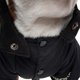 thumbnail image 4 of Abrigo impermeable para perro, estilo chaqueta de esquí con capucha, negro, 4 of 6