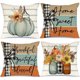 thumbnail image 1 of Fundas de cojín AACORS estilo farmhouse de otoño, 1 of 3