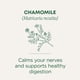 thumbnail image 2 of Té de hierbas Traditional Medicinals, manzanilla orgánica, 16 bolsas, 2 of 7